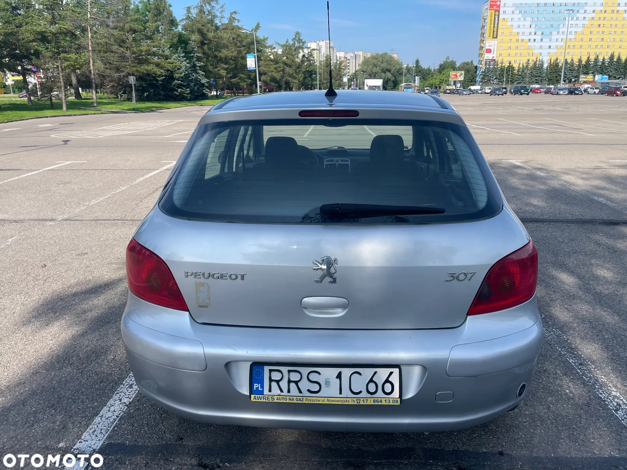 Peugeot 307 - 15