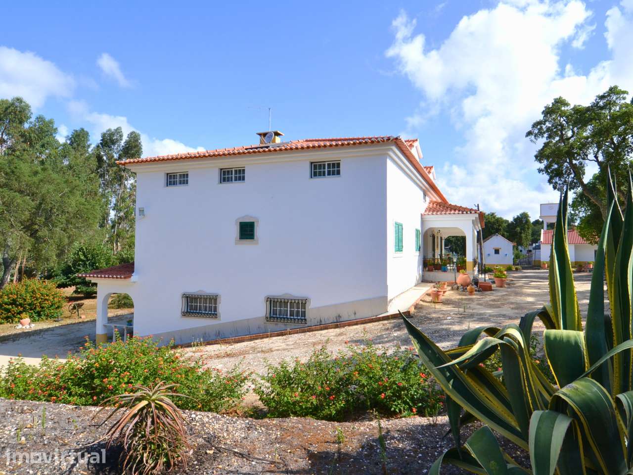 Quinta com 5,8 hectares, em Santarém - Grande imagem: 3/44
