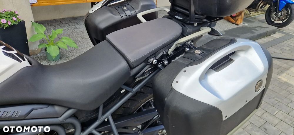 Triumph Tiger - 11
