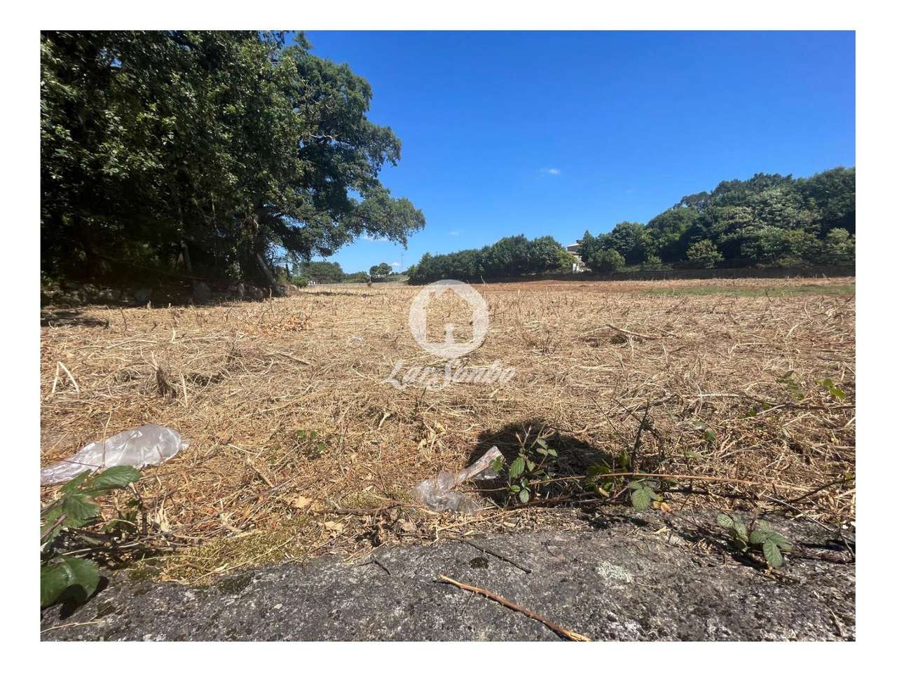 Terreno Rústico de 15.000m2 em Alvelos, Barcelos - Grande imagem: 2/5