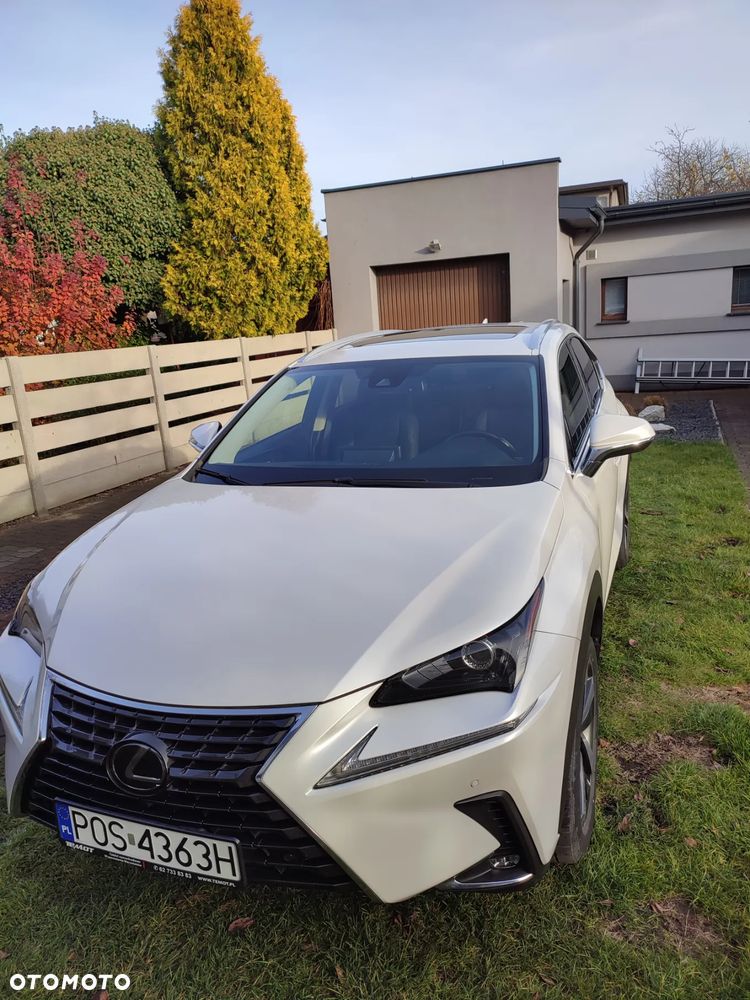 Lexus NX 300 - 32