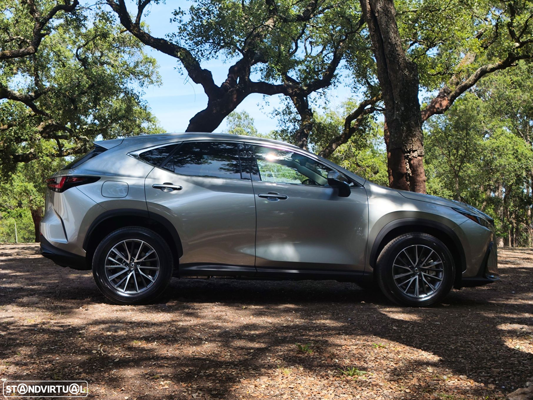 Lexus NX 450h+ - 4