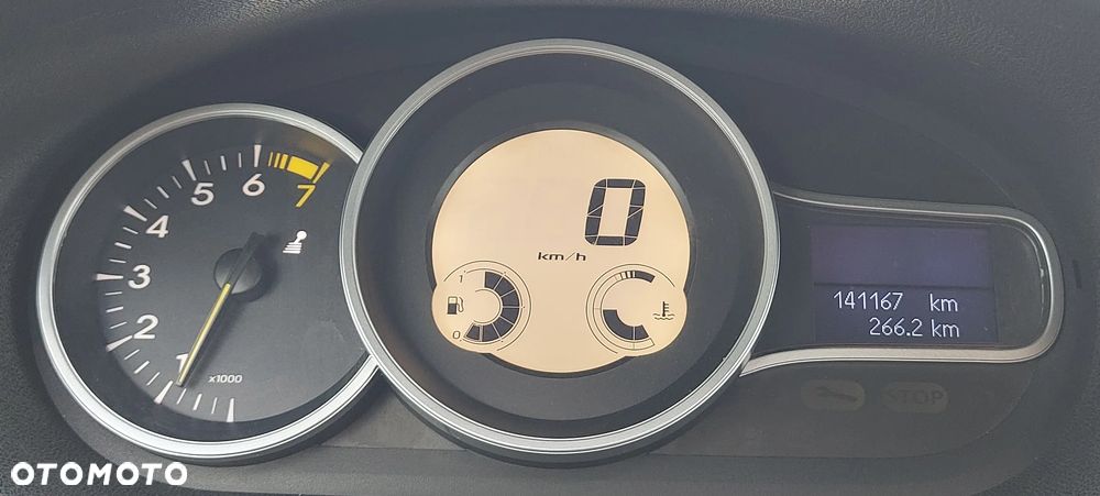 Renault Megane - 21