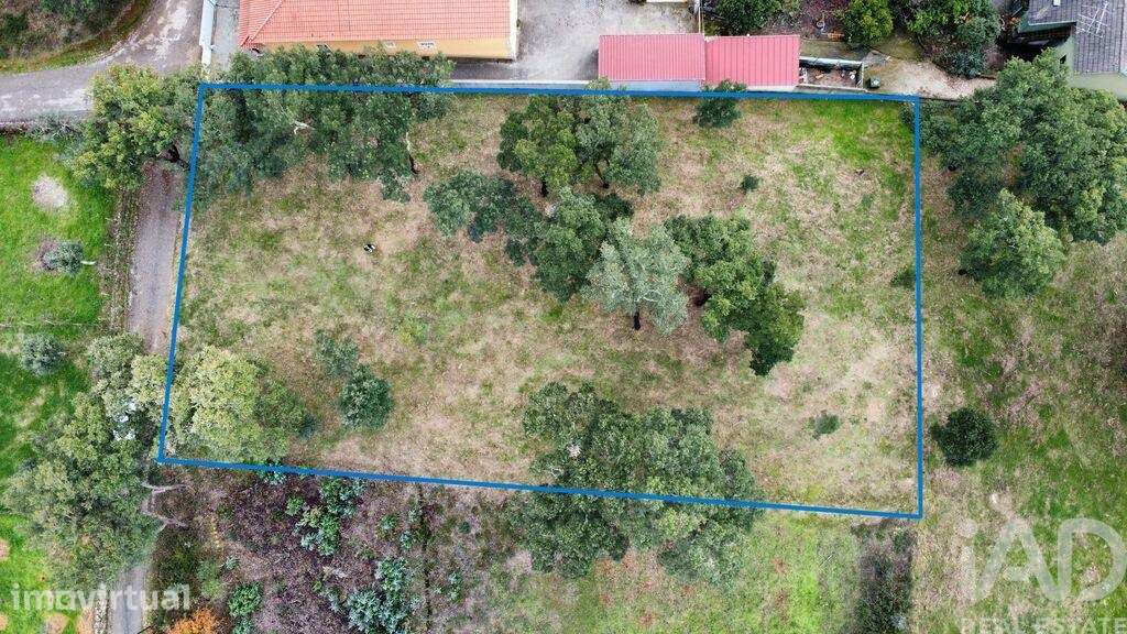 Terreno Agrícola em Figueiró dos Vinhos e Bairradas - Grande imagem: 3/18