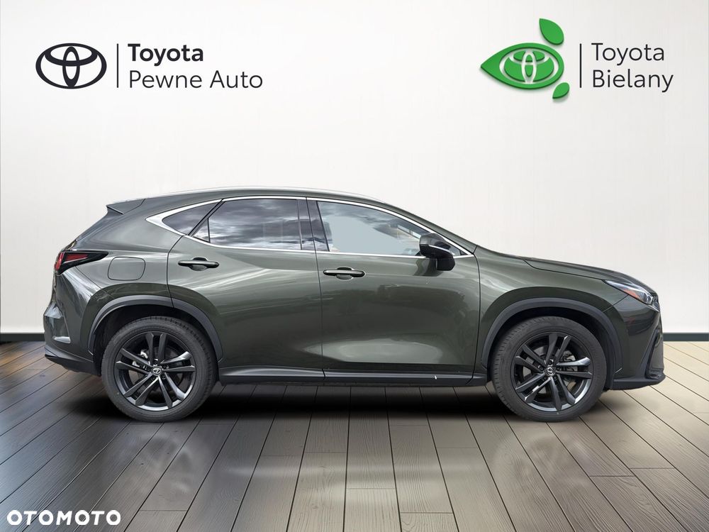 Lexus NX - 6