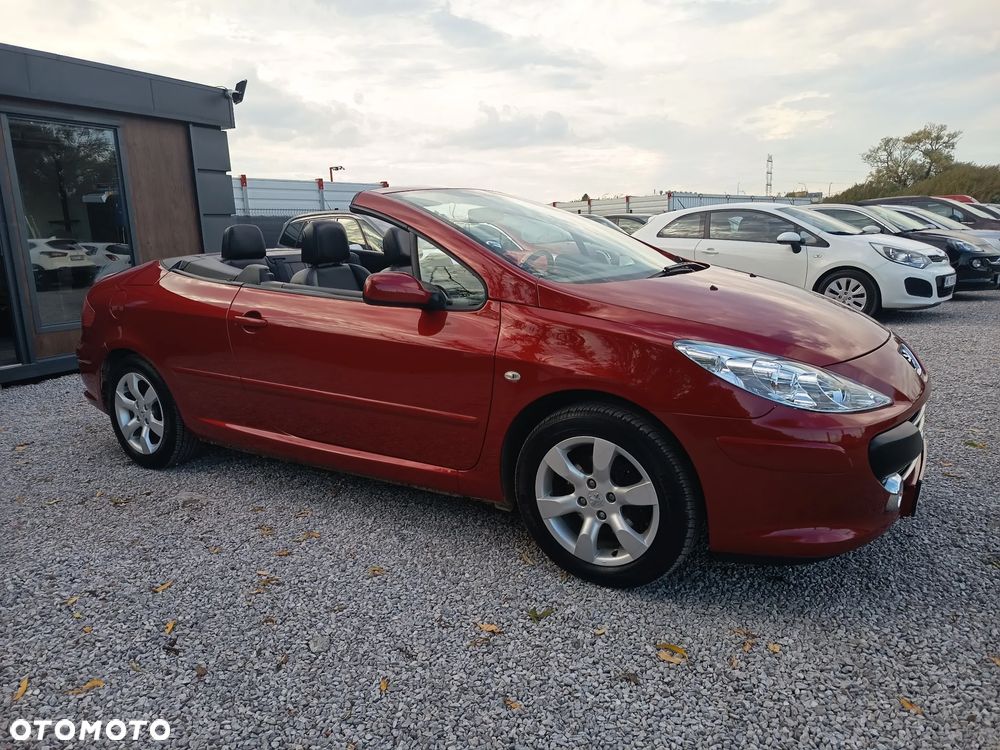 Peugeot 307 CC 110 Filou - 19