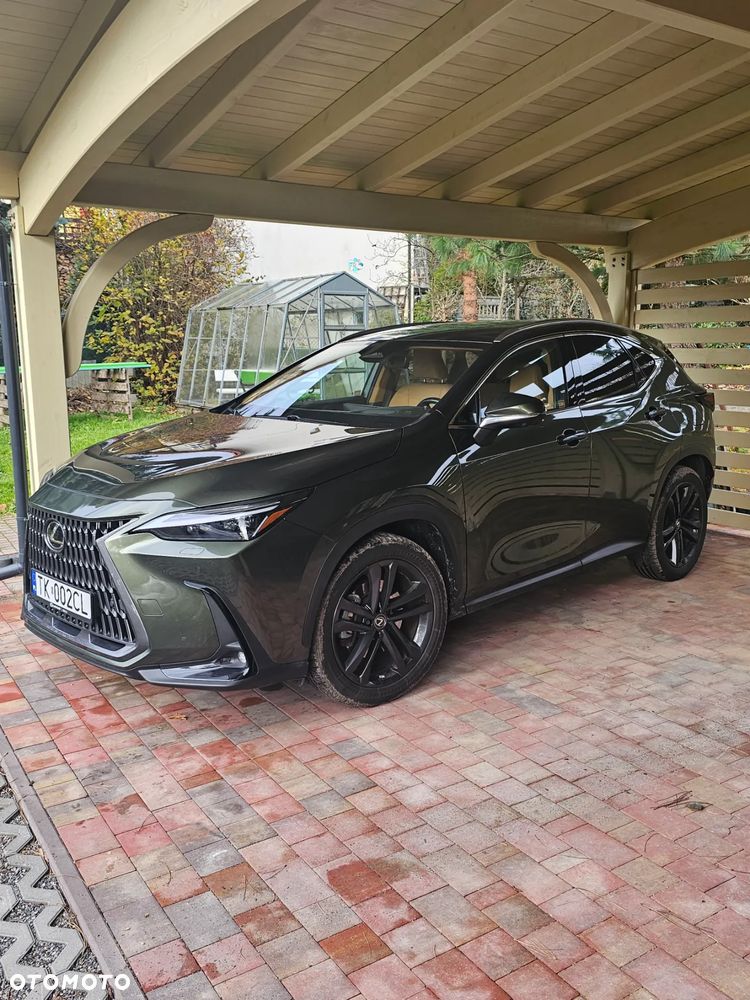 Lexus NX 450h+ Overtrail AWD - 10