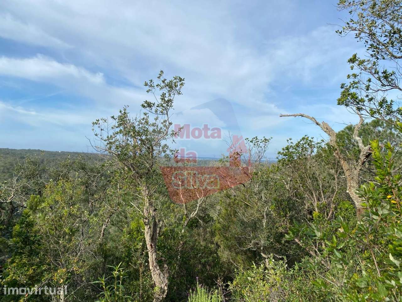 Terreno de 6ha com vista mar em São Francisco da Serra - Grande imagem: 3/15