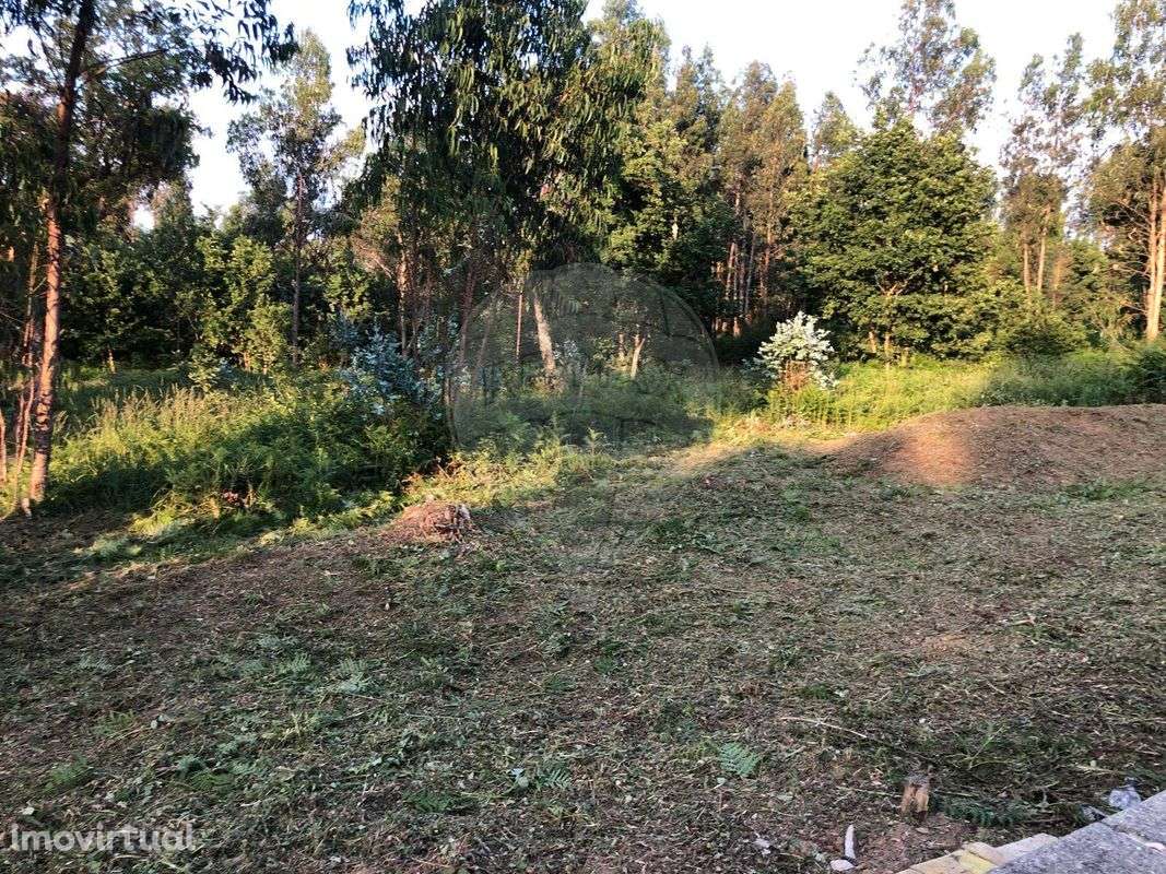 Terreno  para venda - Grande imagem: 3/16