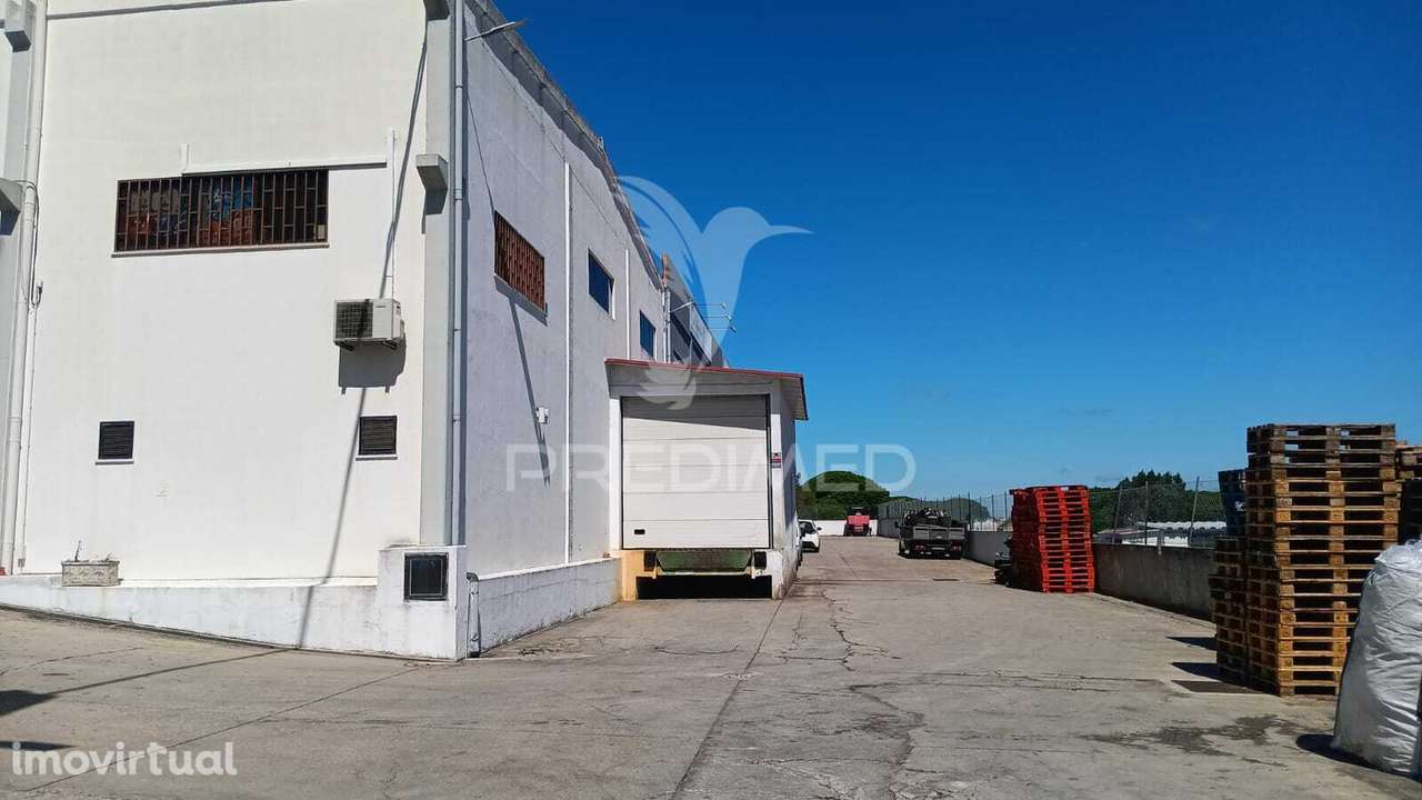 Vender armazém excelente localização em Sintra - Grande imagem: 3/13