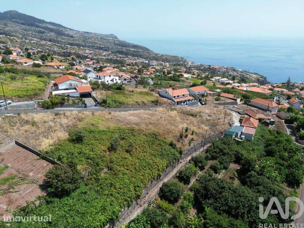 Terreno para construção em Estreito da Calheta - Grande imagem: 2/8