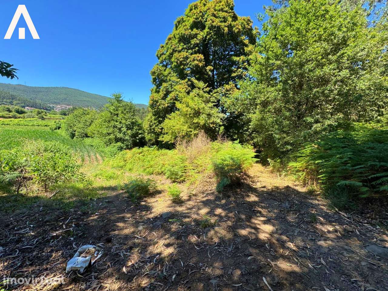 Terreno Abade de Neiva - Grande imagem: 4/9