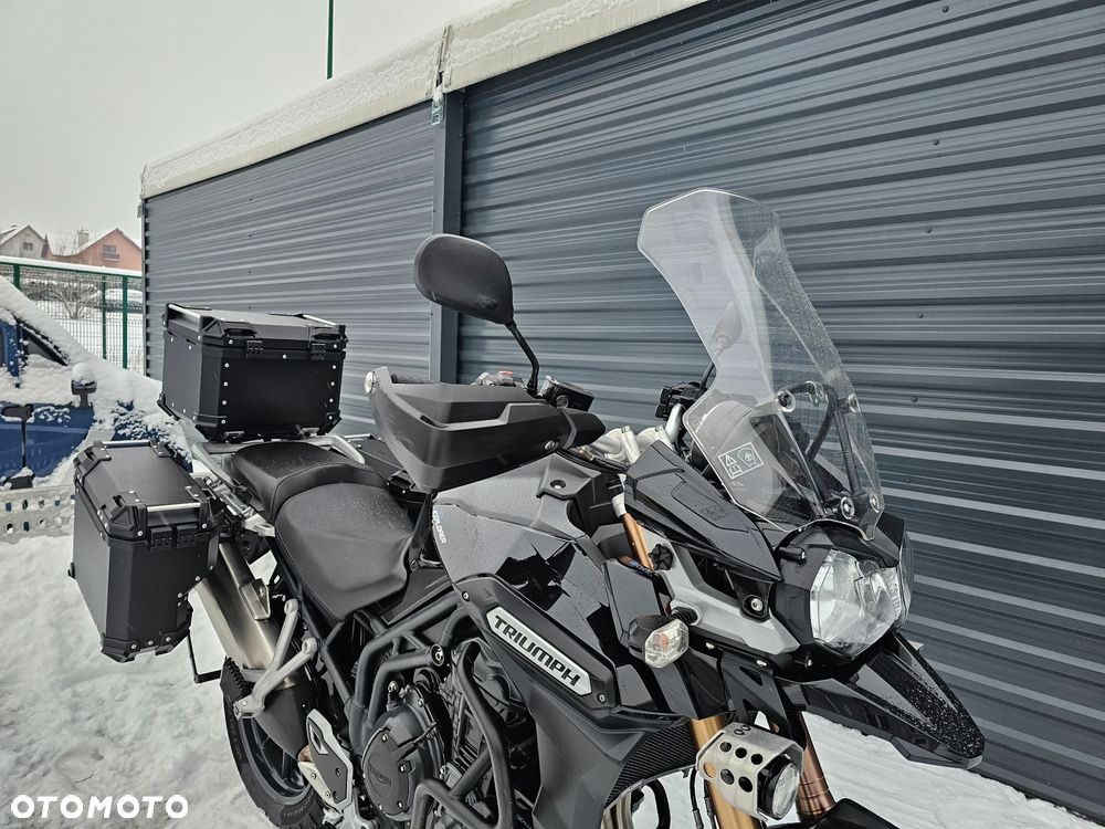 Triumph Tiger - 14