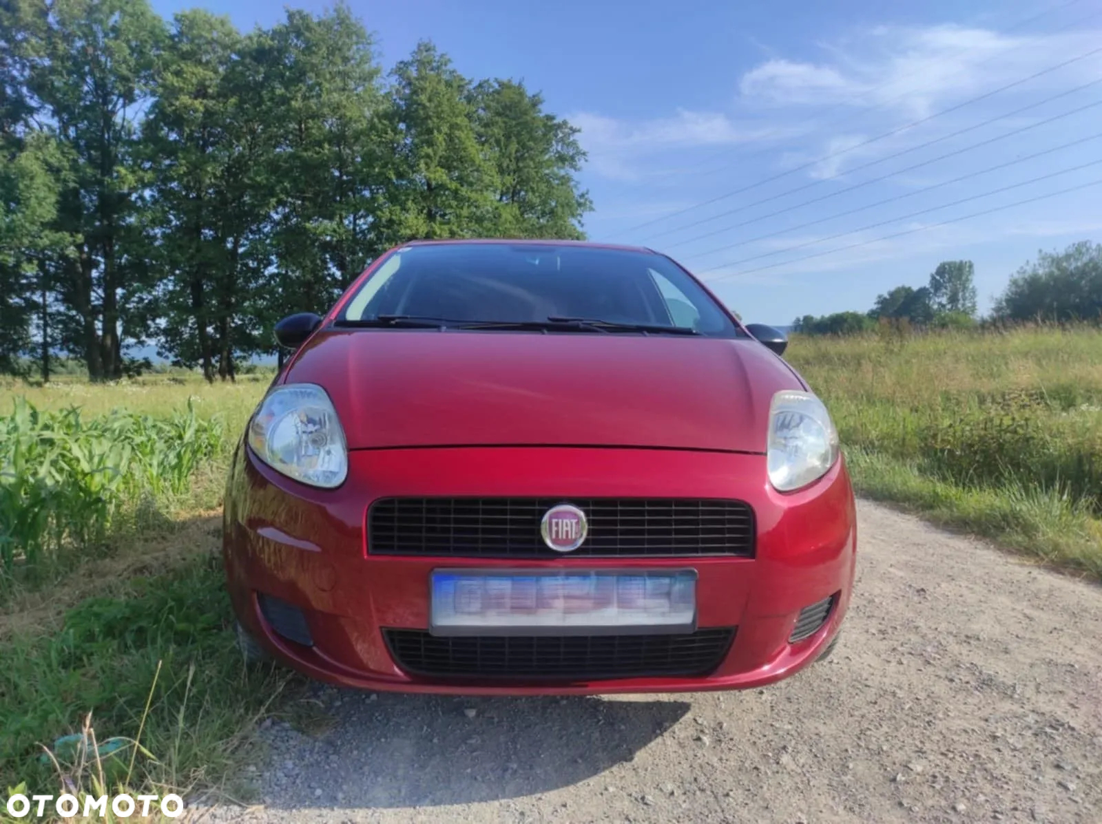 Fiat Punto - 2