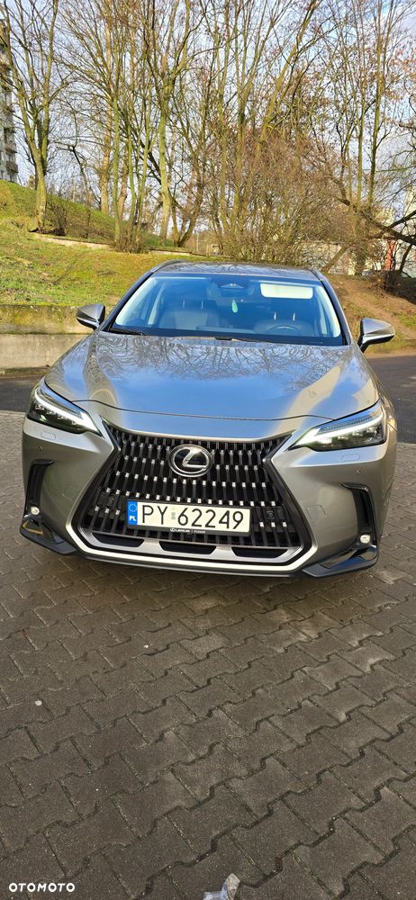 Lexus NX 350h Prestige AWD - 1