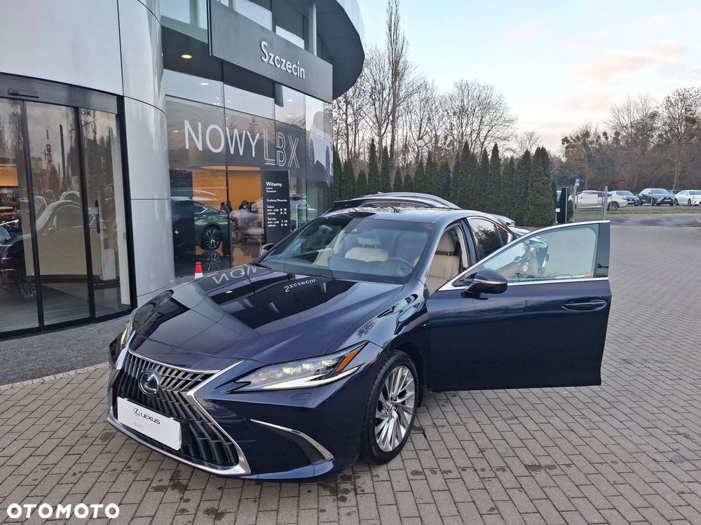 Lexus ES 300h Omotenashi - 9