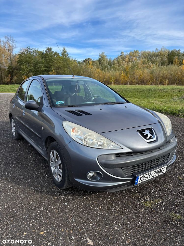 Peugeot 206 plus - 11