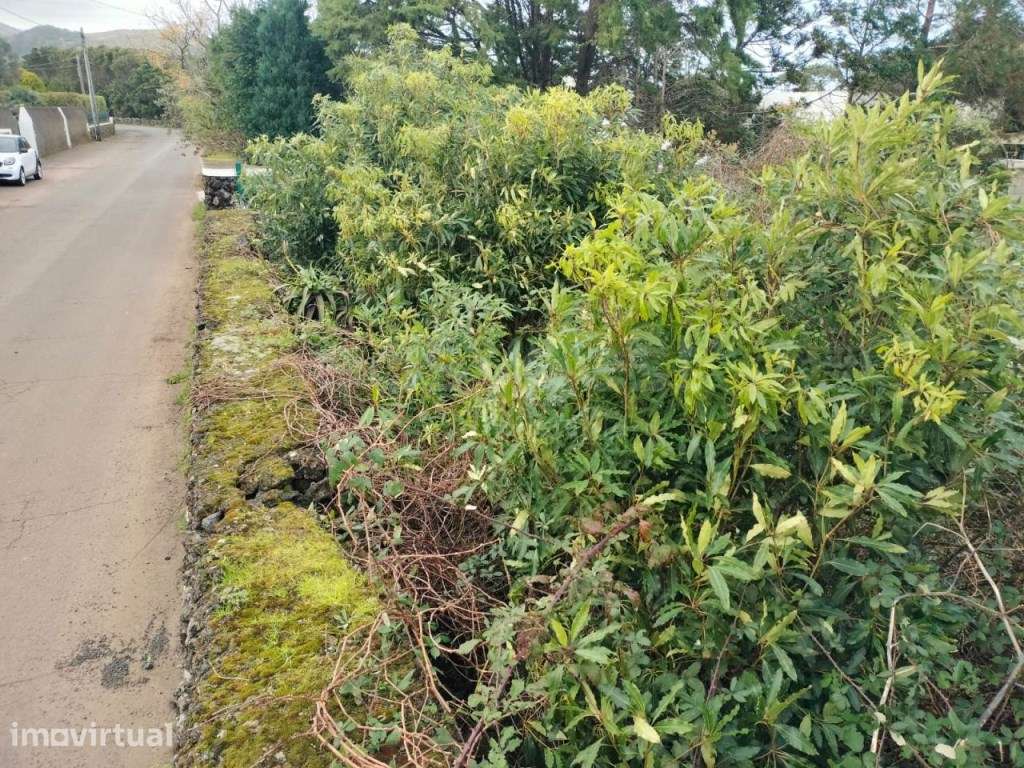 Invista no paraíso: terreno em Porto Martins, Ilha Terceira - Grande imagem: 5/15