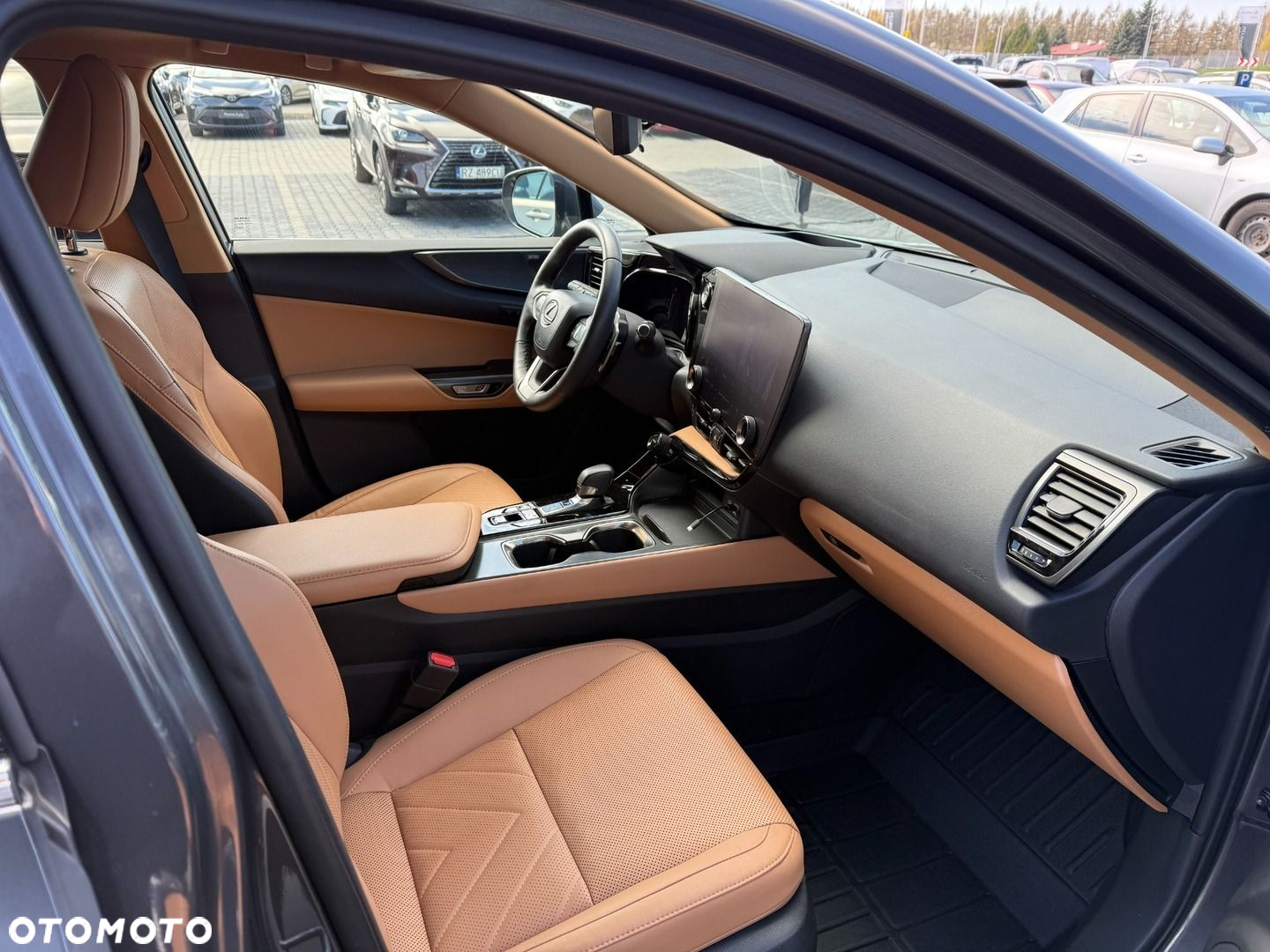 Lexus NX - 16