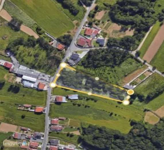 Terreno plano para construção - Grande imagem: 5/5