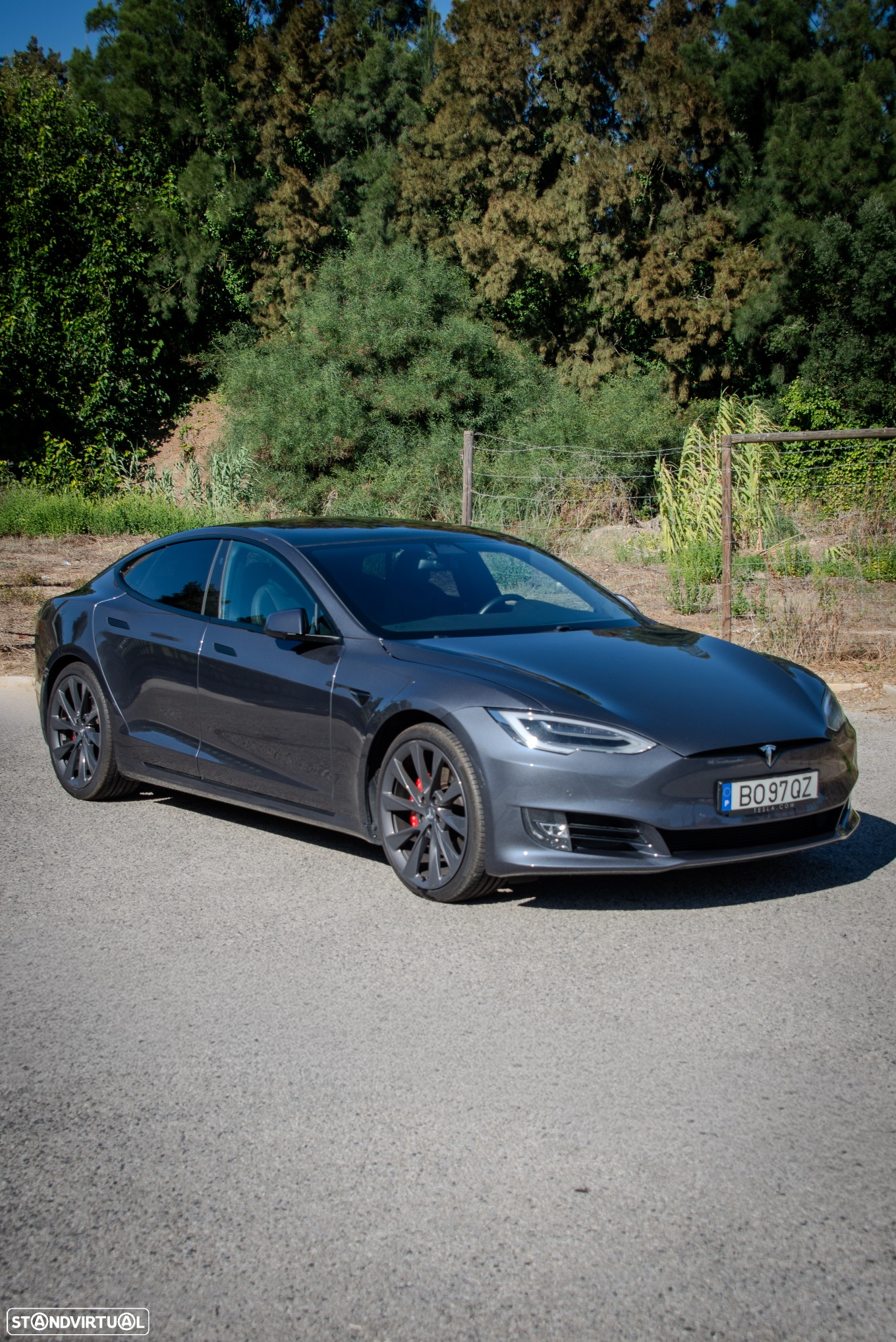 Tesla Model S Performance - 2