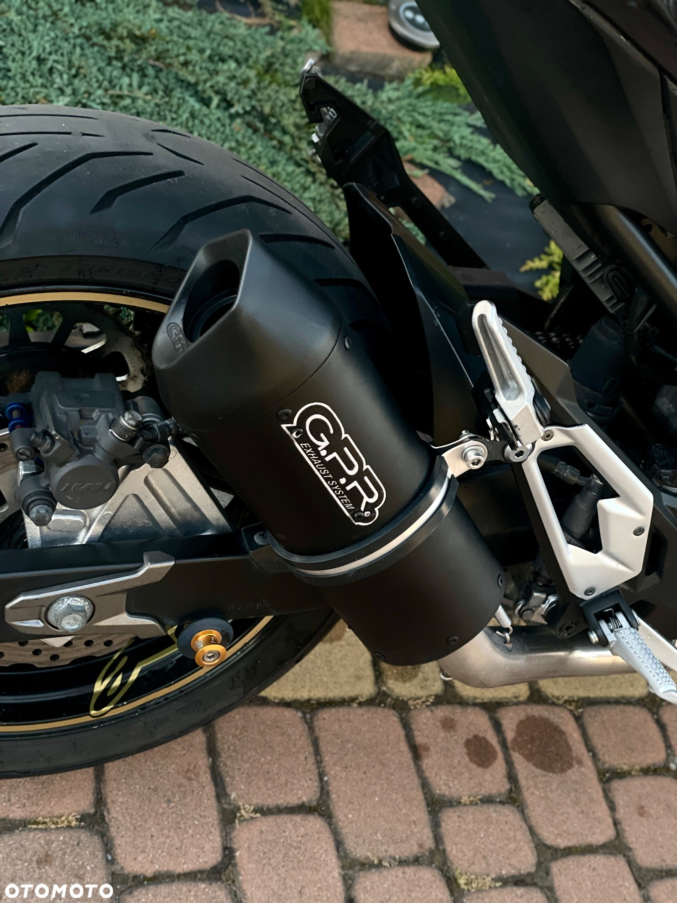 Kawasaki Z - 6