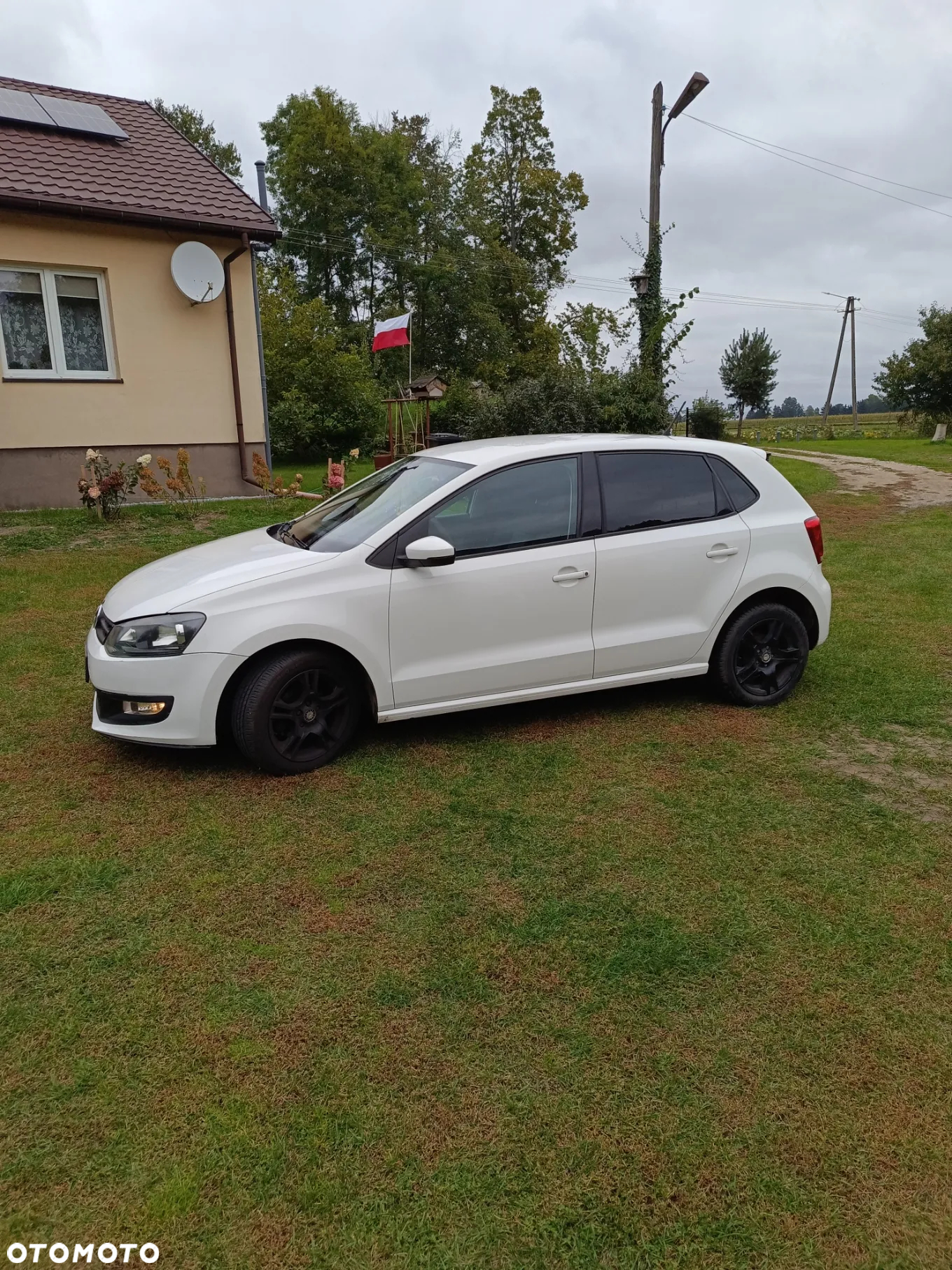 Volkswagen Polo - 2