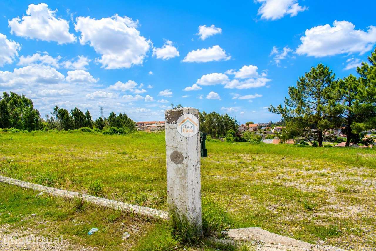 Terreno com cerca de 6.000 m2 à face da EN222, em Olival – Vila Nova d - Grande imagem: 3/10