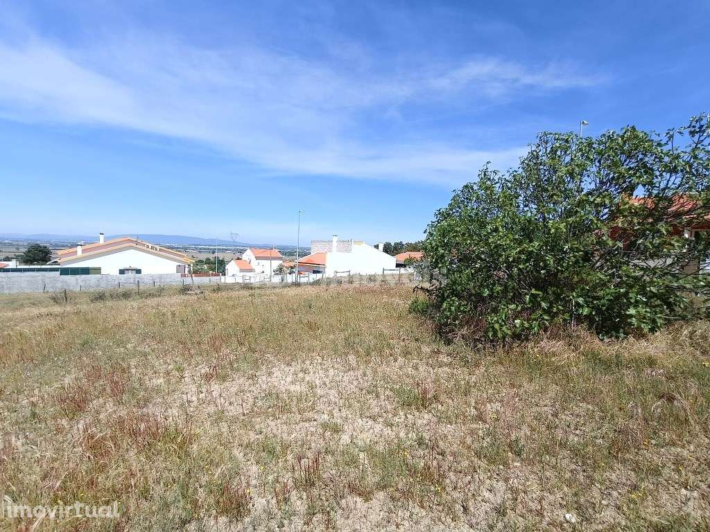 Lote de Terreno para Construção | Carregueira - Chamusca - Grande imagem: 4/12