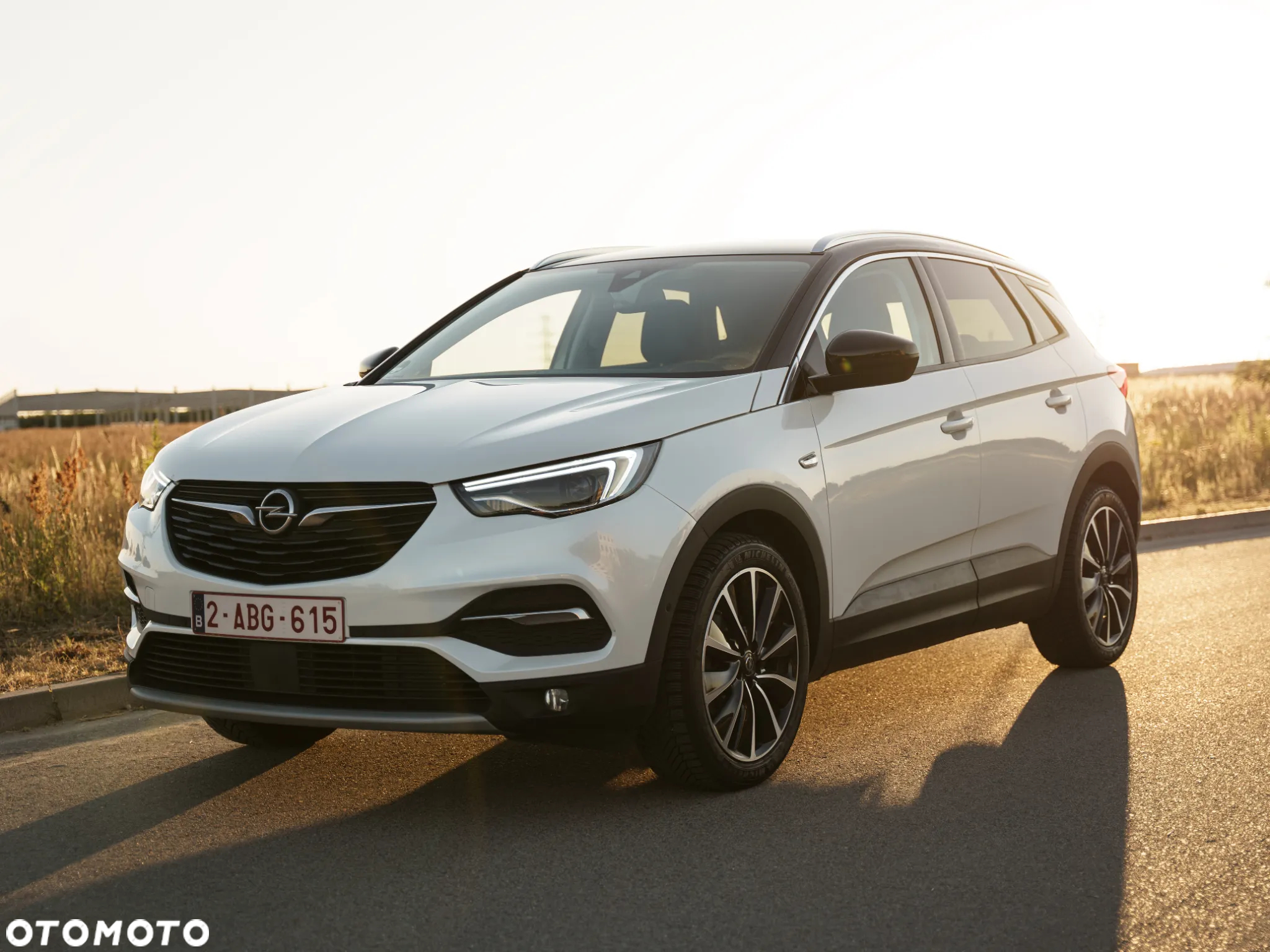 Opel Grandland X 1.5 CDTI Ultimate S&S - 11