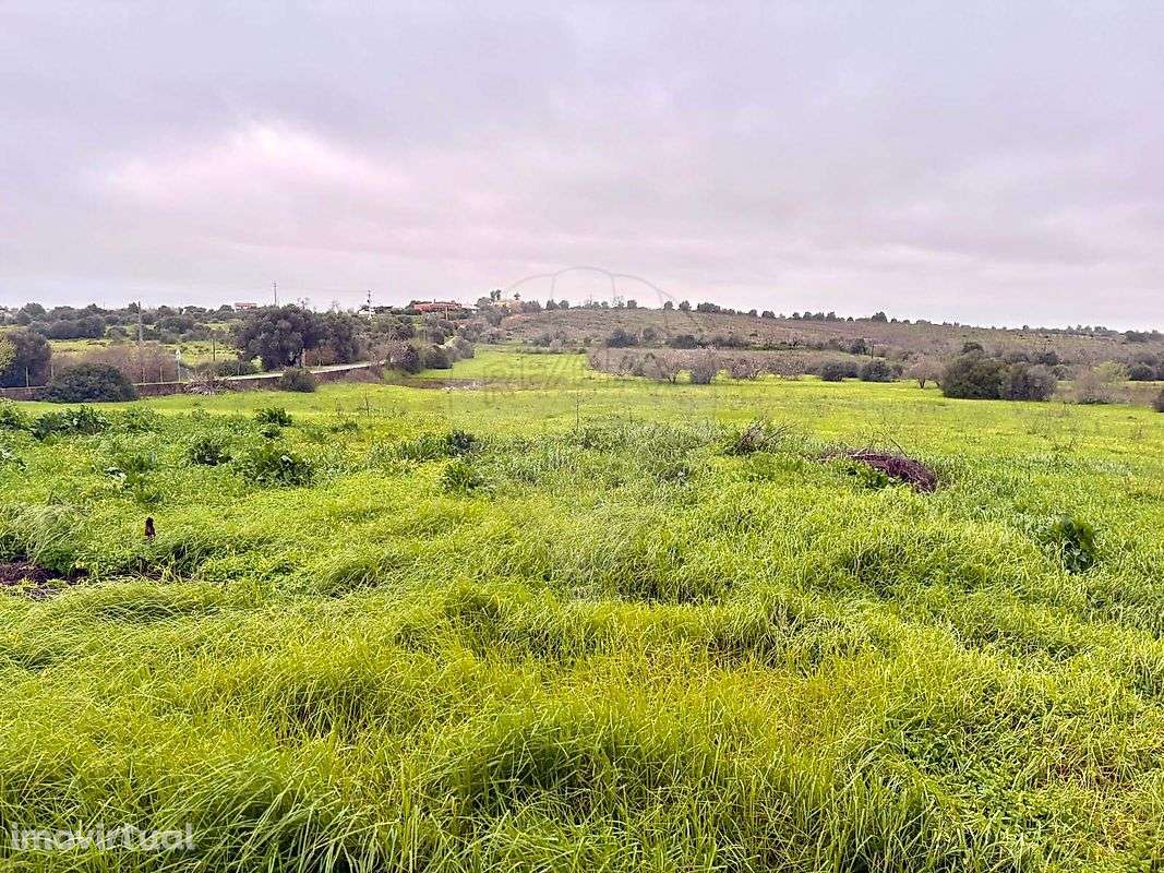 Terreno  para arrendamento - Grande imagem: 4/9