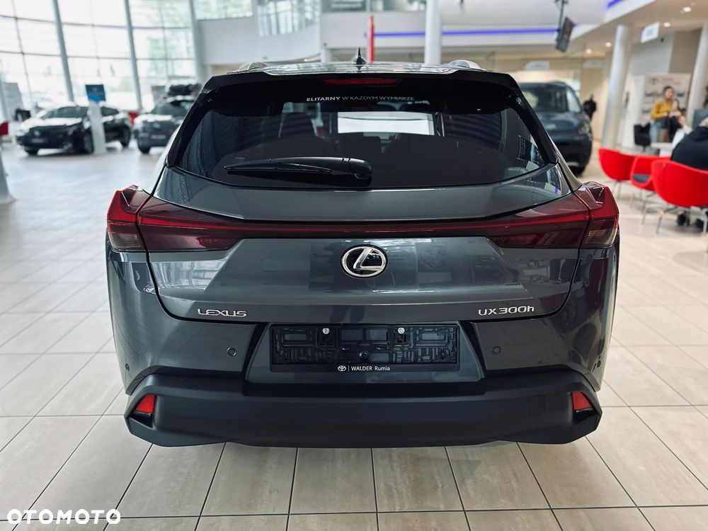 Lexus UX 300h Business - 5