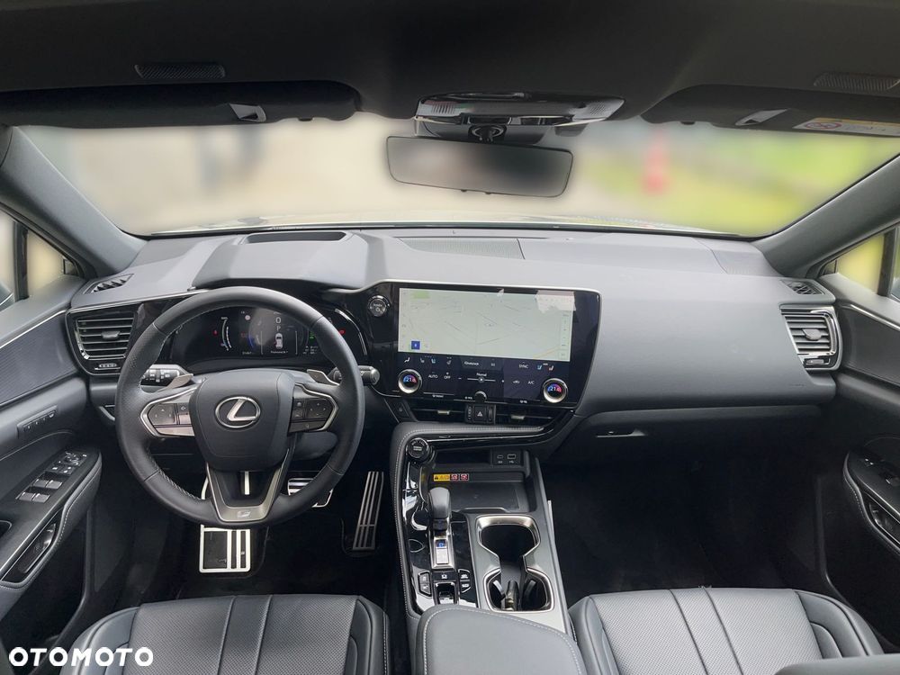Lexus NX - 10