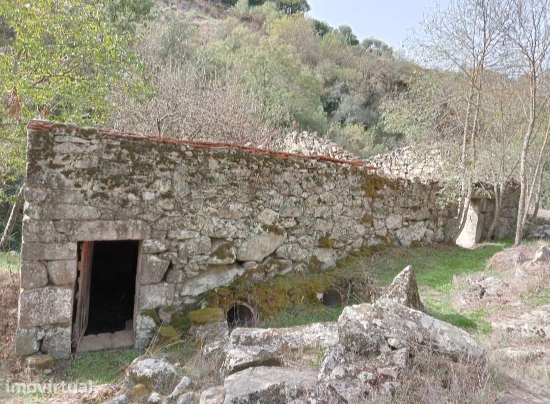 Grande Terreno com Moinho - Lamego - Grande imagem: 3/13