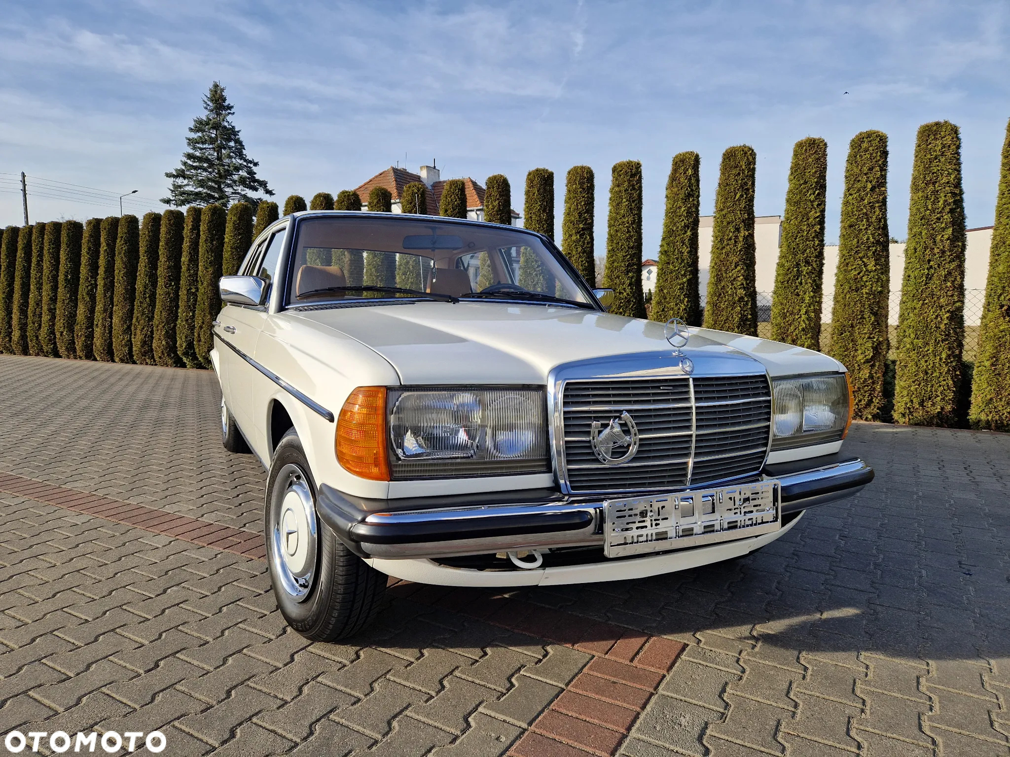 Mercedes-Benz W123 - 13