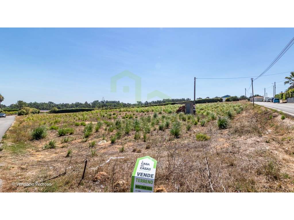 Terreno - Ericeira 4 km, A Casa das Casas - Grande imagem: 5/8