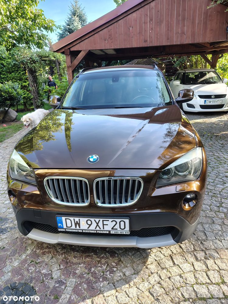 BMW X1 E84 (2009-2015), 2010