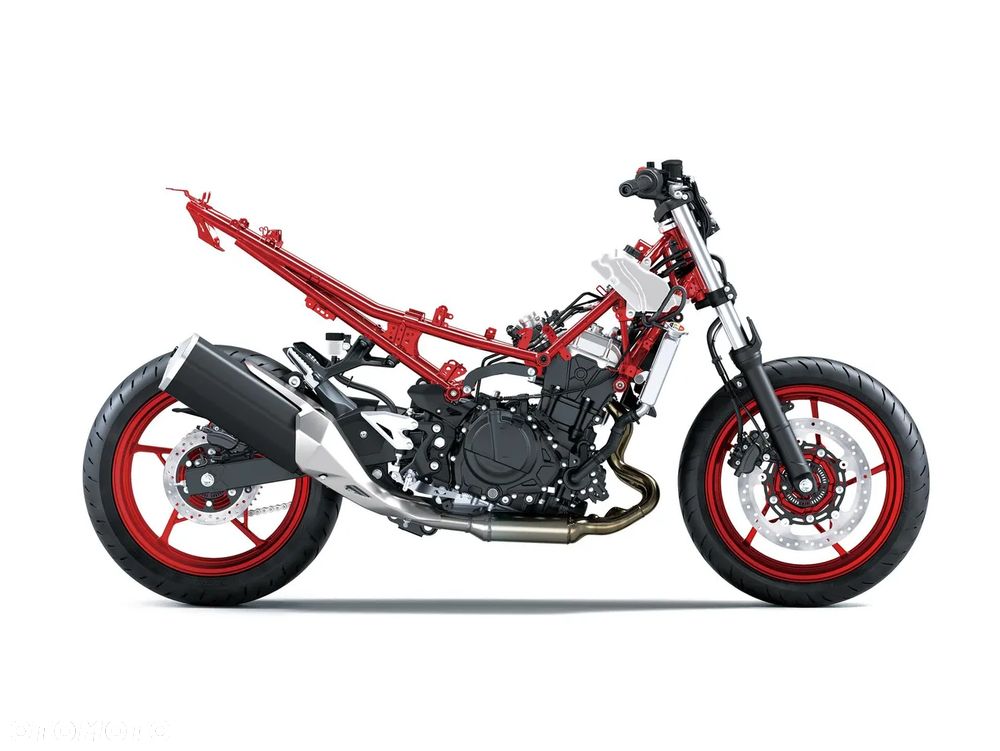 Kawasaki Z - 10