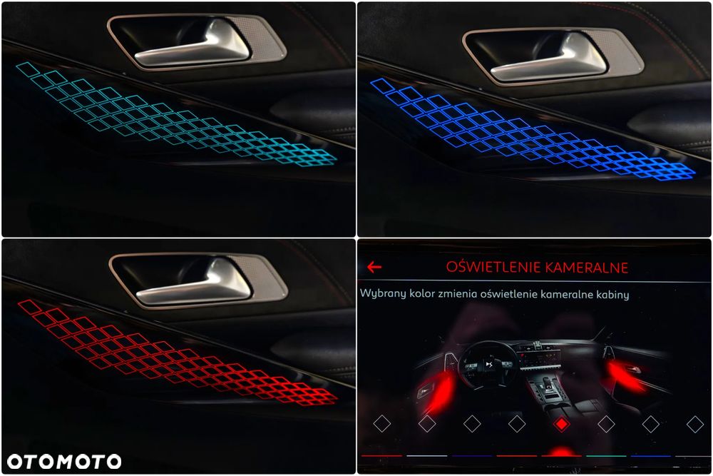 DS Automobiles DS 7 Crossback 1.6 PureTech Performance Line + - 19