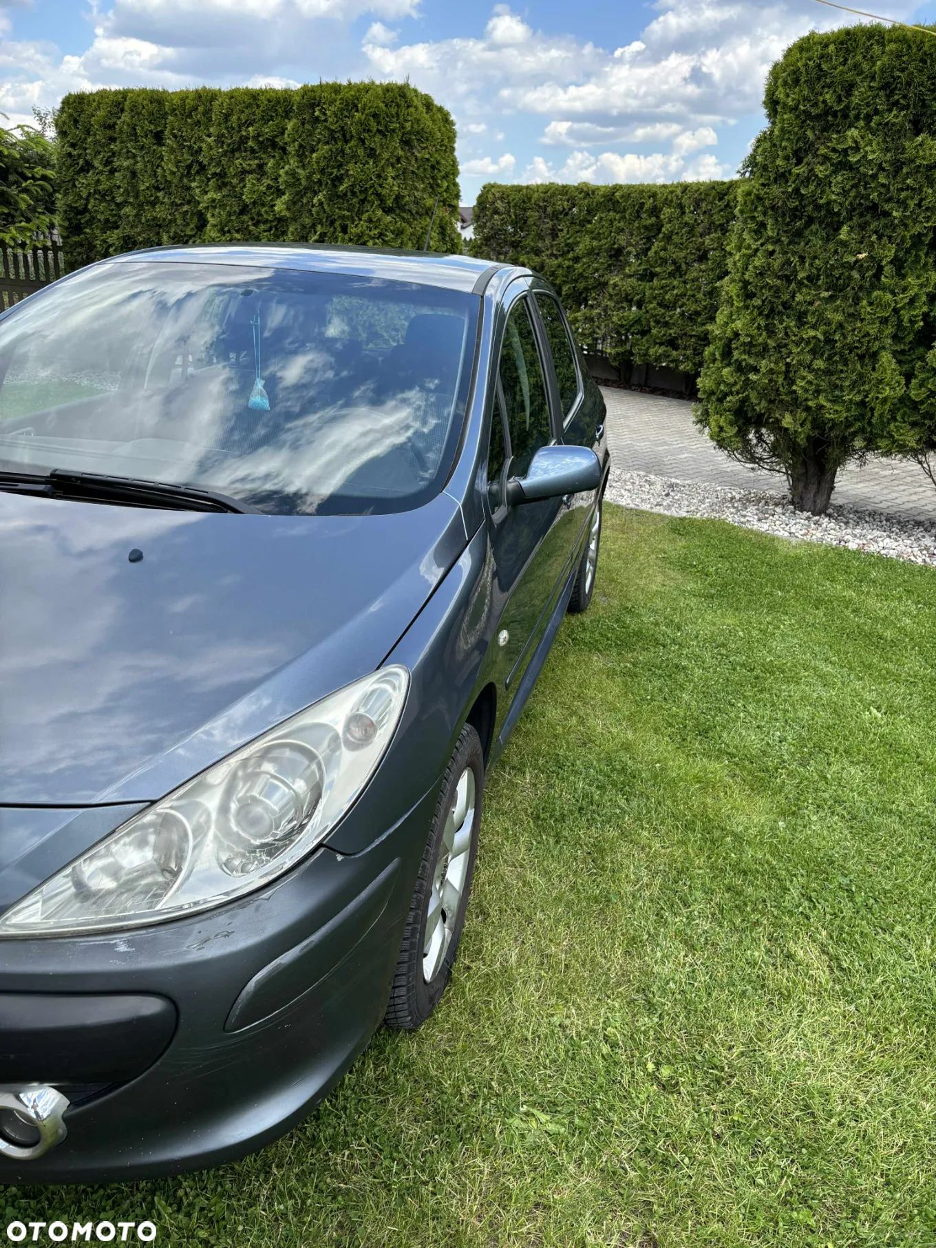 Peugeot 307 1.6 HDI Oxygo - 8