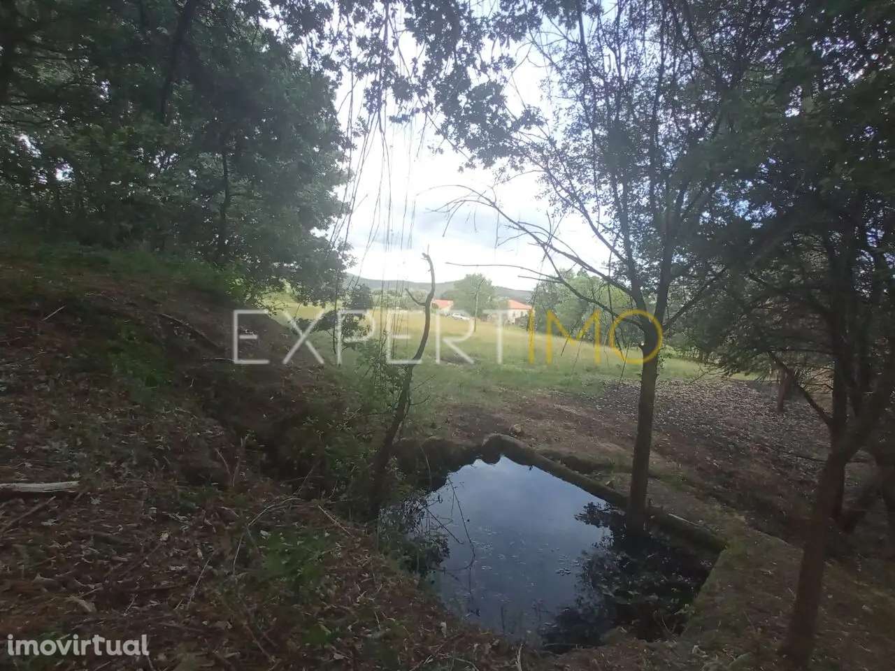 QUINTA SERRA DA ESTRELA, 1 hectare de terreno com casa para... - Grande imagem: 4/25