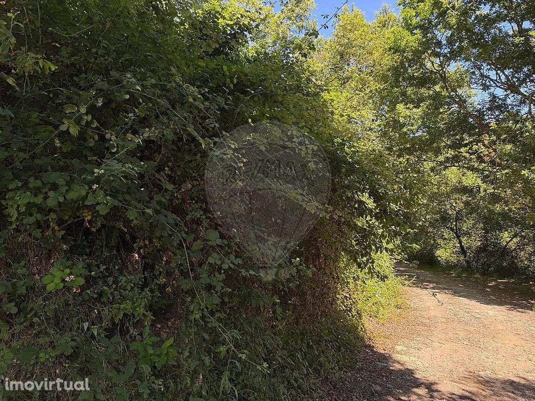 Terreno  para venda - Grande imagem: 2/3