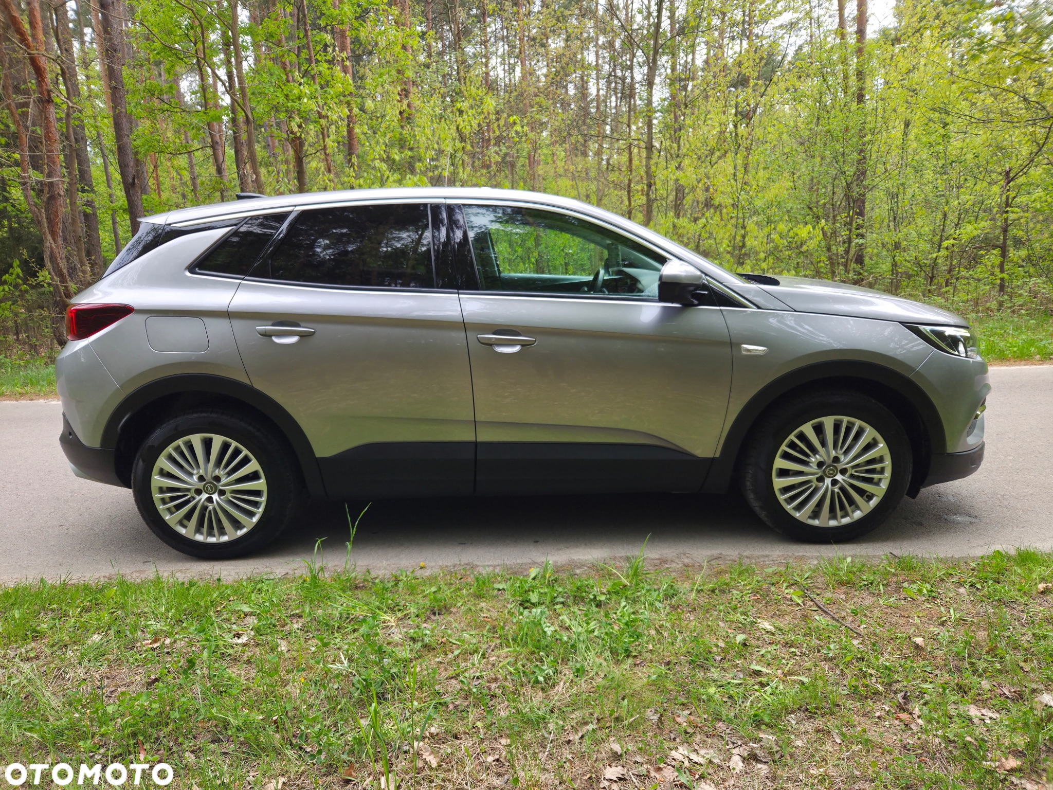 Opel Grandland X 1.6 CDTI Ultimate S&S - 4