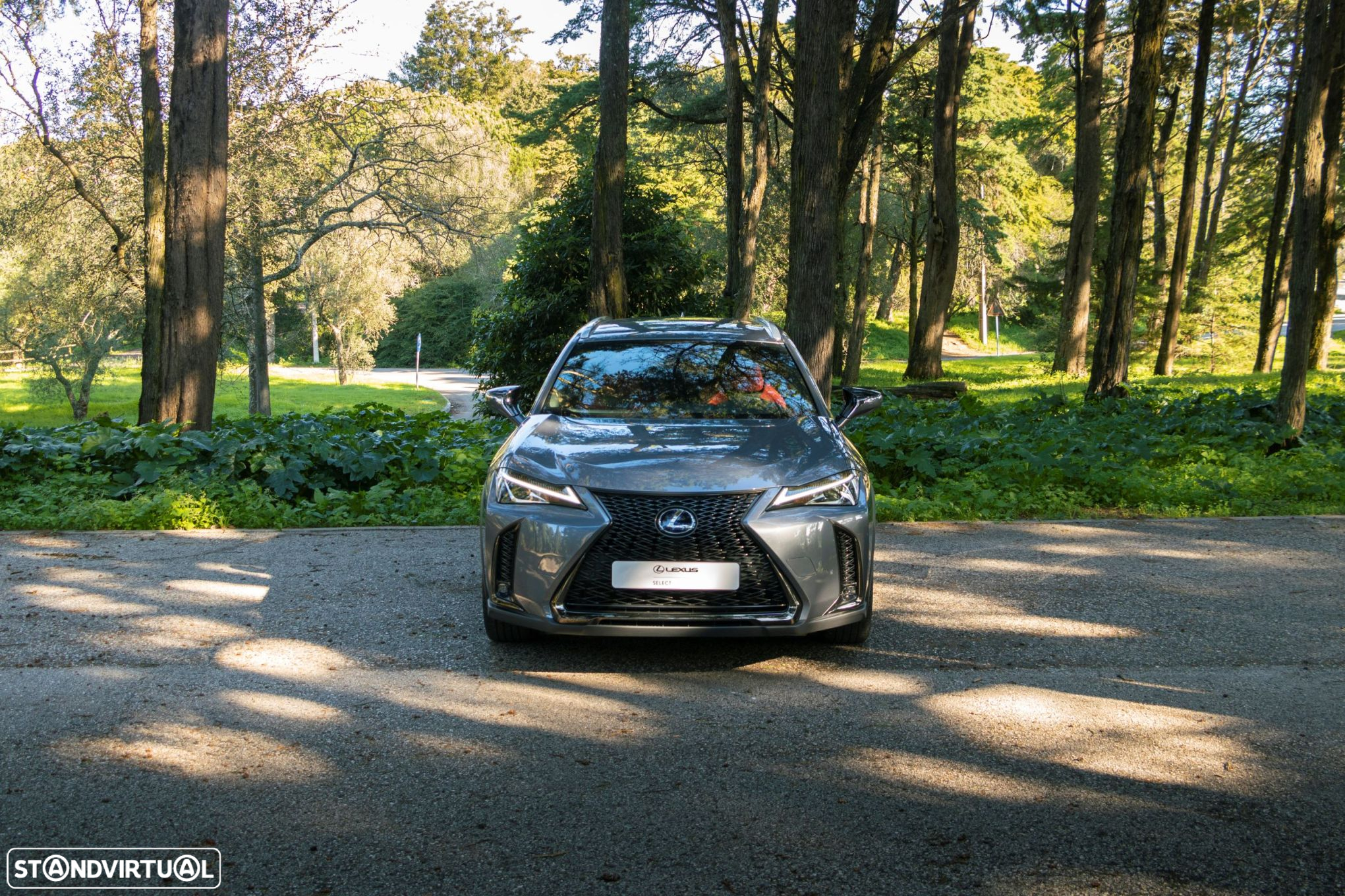 Lexus UX 250h F Sport - 5