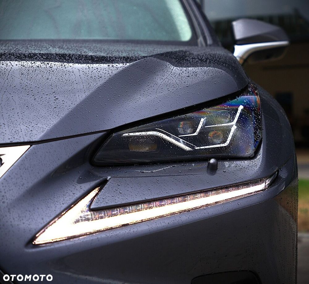 Lexus NX - 8