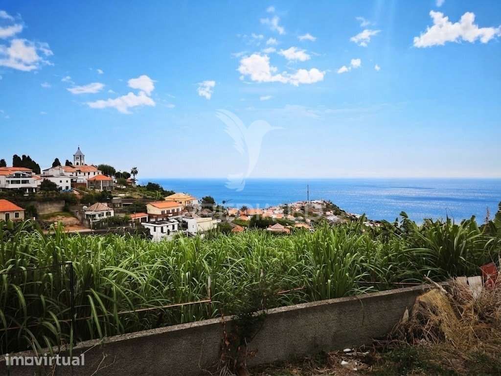 VENDO TERRENO PONTA DO SOL | 900 m² | VISTA MAR - Grande imagem: 2/6