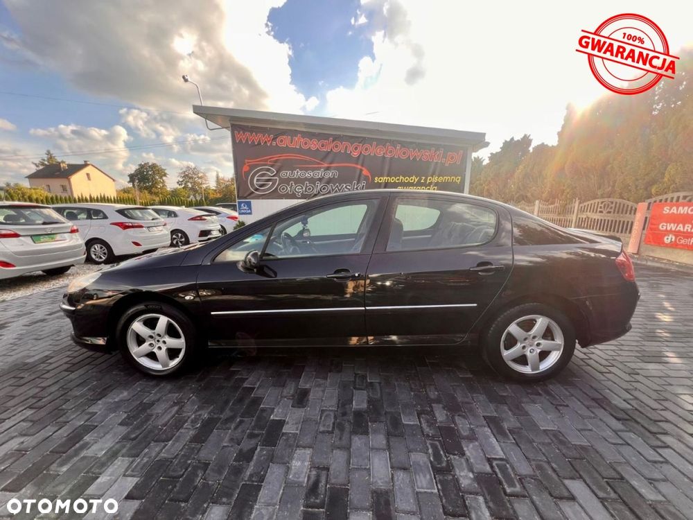 Peugeot 407 - 5