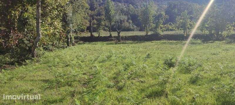 Vendo terreno com 1.074 m² em Souto, Terras de Bouro - Grande imagem: 2/12