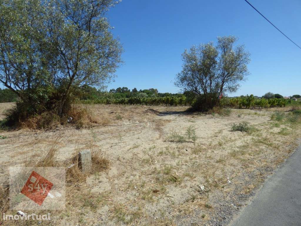 Terreno Foros do Trapo de 5.500m2! - Grande imagem: 4/5
