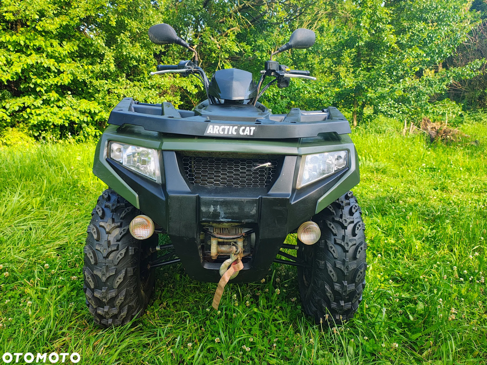 Arctic Cat Inny